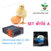 ชุด DIY ฟักไข่ Set A