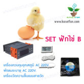 ชุดฟักไข่ Set B 3 ชิ้น